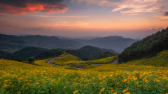 童谣预警:八月无霜塞草青将军骑马步空城(上)(图)