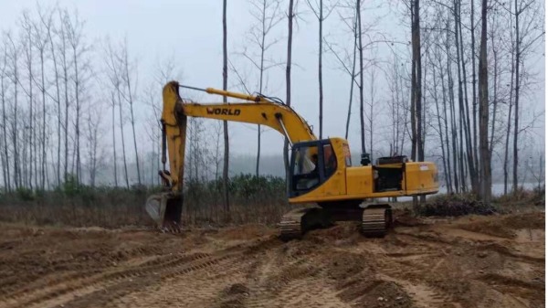 河南商城县举报人等的种植菊花基地、林地、承包地都遭到毁坏。