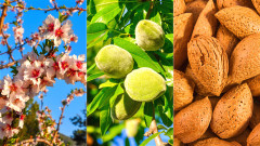 对抗骨质疏松8种“存骨本”的最佳食物(组图)