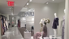 豪门女总裁的私人生活(2)女强人的心事(组图)