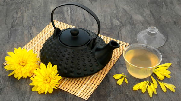 长期饮用菊花茶，对防治高脂血症和动脉硬化有效果。
