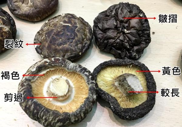 台湾香菇（右侧）、中国香菇（左侧）。（图片来源：自由时报）