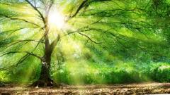 一报还一报两个神奇新闻令人惊叹(图)