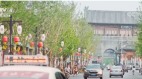 河北正定县悬赏举报武汉人(图)