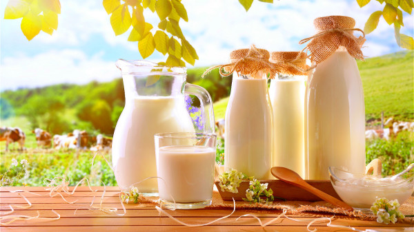 全脂牛奶含鈣量高，1毫升約含1毫升鈣。