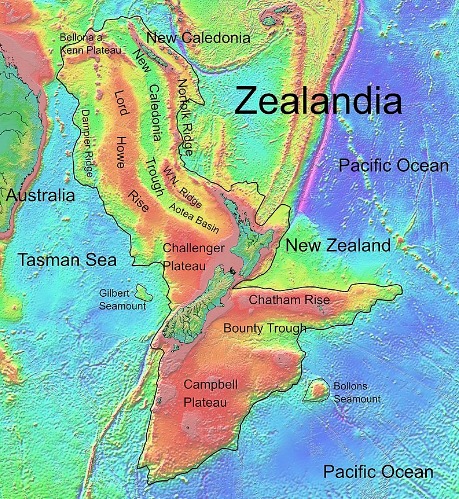 “西兰洲”（Zealandia）位于新西兰东南部。
