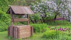 中国唐朝人误入地心世界(图)