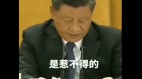 习近平讲话念一句话看了3次稿子(视频)(图)