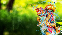 湖南龙元江遇见“龙”的神奇经历(图)