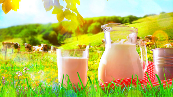 補鈣，第一想到的食物可能就是牛奶。
