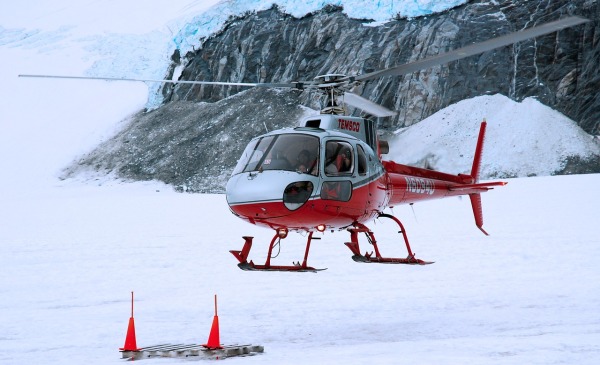 加拿大空军直升机迫降 北极熊搞破坏修了4天