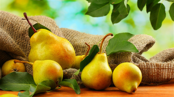 嗓子乾咳或是發癢，吃梨子都有一定的效果。