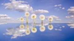 和自己坐個對面(組圖)