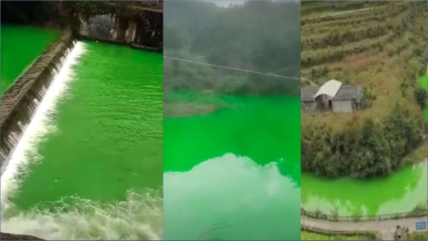 湖北恩施咸丰县城区野猫河上游水体出现变绿情况，官方称无毒害（图片来源：微博）