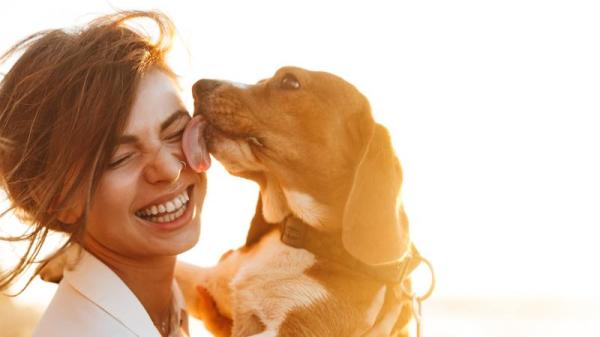 為何狗愛舔人？原來牠想告訴你這些事。