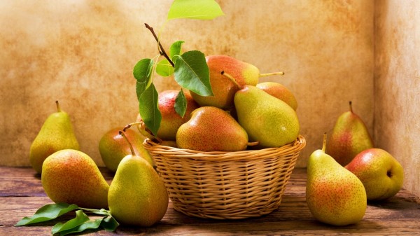 糖尿病患者理当少食梨、勿食为好。