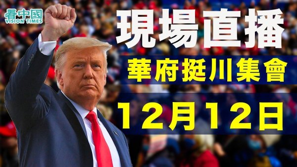 2020年12月12日，《看中國》現場直播在華盛頓DC舉行的反對選舉舞弊和竊選，以及支持川普總統和捍衛美國憲法的系列活動。（圖片來源：看中國合成製作） 