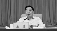 被制裁后习近平的“好兄弟”向美抛橄榄枝(图)