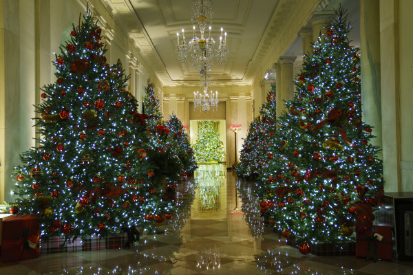 2020白宫圣诞装饰，主题是“美丽的美国”（America the Beautiful），图为白宫廊厅（Cross Hall）。（图片来源：Drew Angerer/Getty Images）