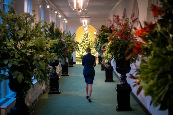 2020白宫圣诞装饰，主题是“美丽的美国”（America the Beautiful），图为白宫东柱廊（East Colonnade）。（图片来源：Drew Angerer/Getty Images）