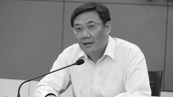 商务部长王文涛。（图片来源：网络）