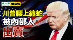 「戒嚴」假新聞內幕被揭