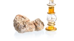 泰渔民海边捡到“宝”价值300多万美元(图)