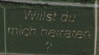 男子玉米地「種下」浪漫字句意外被谷歌地圖拍下(圖)