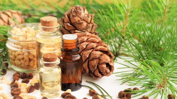 木質類精油幾乎都是以小樹枝或是毬果蒸餾而成，較常使用的是雪松、絲柏、松、杜松、尤加利、苦橙葉、花梨木、茶樹、樟樹。