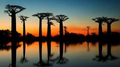 探秘马达加斯加“幽灵谷”之谜(组图)