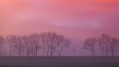 小孩反常见人就哭原来他预见了大灾难(图)