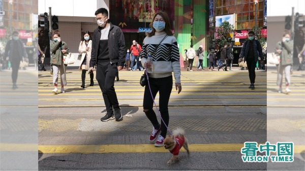 香港一名确诊病人家中宠物狗对中共肺炎病毒呈“弱阳性反应”，可能是全球首宗动物疑感染中共肺炎。资料图片。（图片来源：庞大卫/看中国）