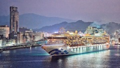 免疫学专家:若无法更有效抑制中共病毒将发生大流行(图)