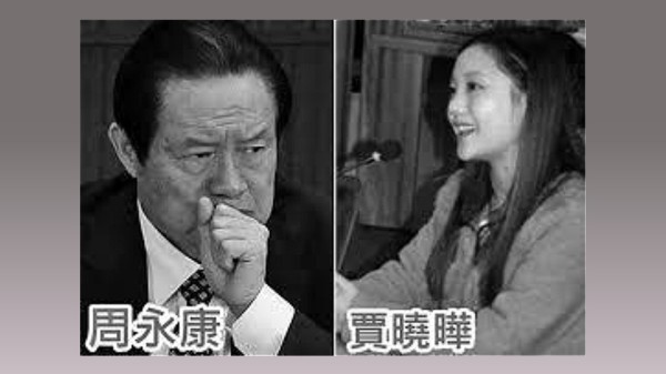 在周永康的发妻王淑华死亡的同一年，他就迎娶了央视年轻的女记者贾晓晔。