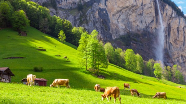 瑞士地處崇山峻嶺的山地、資源匱乏，其實完全屬於不利經濟發展的「窮山僻壤」，但高素質的瑞士人，卻創造出全球最具競爭力的經濟體之一。