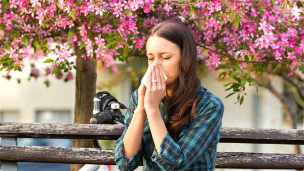 春季是感冒咳嗽等呼吸道疾病的高发期，饮食调理润肺止咳化痰