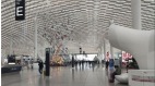 航空旅游业再出发重重限制行路难(图)