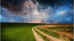 改变少年人生的一声“惊雷”(图)