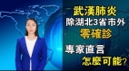 除湖北3省市外零確診專家直言:怎麼可能