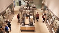 化险为夷的智慧(组图)