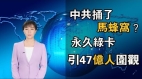 中共捅了馬蜂窩永久綠卡引47億人圍觀356萬人留言