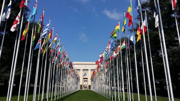 位于日内瓦的联合国大厦前的各国国旗