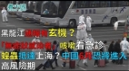 黑龙江通报有玄机“无症状感染者”咳嗽看急诊;蝗虫抵达上海中国6月恐将进入高风险期