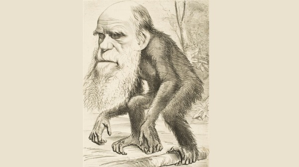 1870年代諷刺漫畫，表達了基督徒對「人類與猿類具有共同祖先」這個觀念的反對。