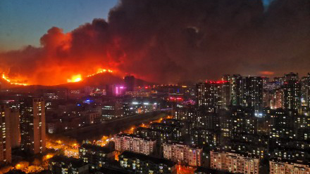 青岛市黄岛区小珠山发生山火，目前已烧到城市街道附近。