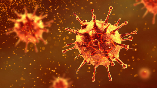WHO病毒技术负责人表示，根据来自美国初步数据显示，COVID-19变异病毒株Iota目前不会导致重症。