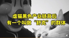 山东理工大学虐猫生牵扯产业链最小成员年仅10岁(组图)