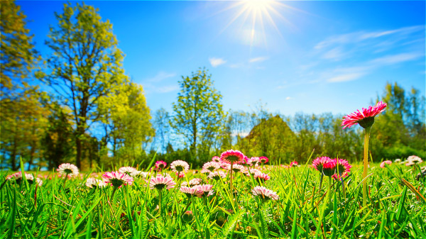 春暖花開，萬物復甦。（圖片來源：Adobe Stock）