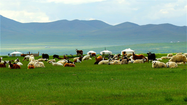 中共建政後，其「中蒙友好協議」承認蒙古獨立，部分周邊土地被蘇俄吞併。