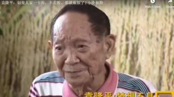 中國雜交水稻之父袁隆平22日辭世，24日上午舉行告別式，超過萬名民眾前往悼念。